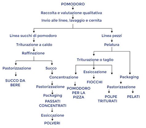 Schema del processo di lavorazione del pomodoro in conserve