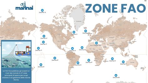 Mappa che evidenzia le principali aree di allevamento e pesca del salmone in Europa