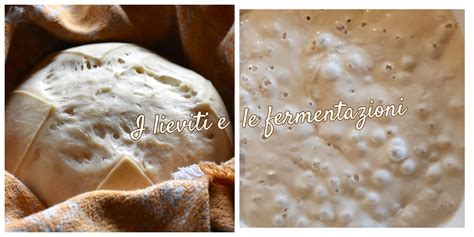 Illustrazione che mostra il processo di lievitazione con lievito chimico (reazione rapida in forno) e lievito naturale (fermentazione prolungata).