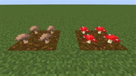 Illustrazione che mostra la diffusione dei funghi in Minecraft Beta 1.6.