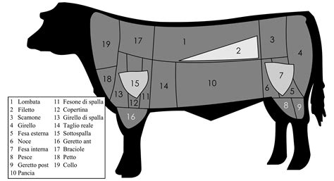 Schema che illustra i diversi tagli di carne utilizzati per gli arrosticini e le loro proporzioni.