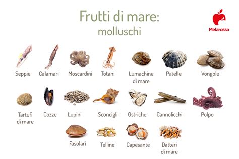 Vassoio di 