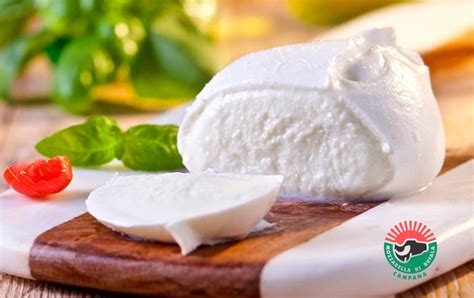 Immagine di mozzarella di bufala frullata fino ad ottenere una crema.
