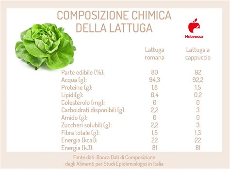 Infografica sui benefici nutrizionali della lattuga (vitamine, minerali, fibre)