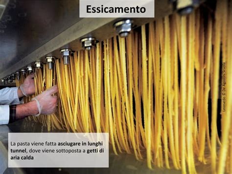 Infografica che mostra le fasi di impasto e lavorazione della pasta per grissini