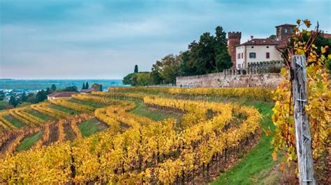Vista panoramica dell'Agriturismo Borg da Ocjs immerso nei vigneti del Collio