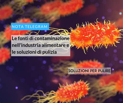 Infografica che illustra le potenziali fonti di contaminazione nella filiera della frutta secca.