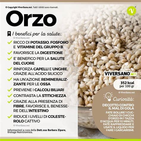 Infografica sui benefici nutrizionali dell'orzo