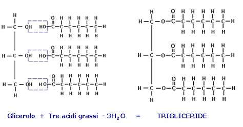 Struttura chimica degli acidi grassi presenti nell'olio di mandorle dolci.