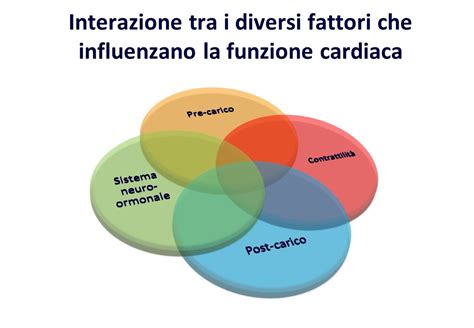 Illustrazione che mostra i diversi fattori che influenzano l'attenzione umana: novità, emozione, pertinenza, chiarezza.