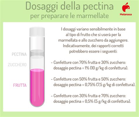 Schema dei benefici della pectina per l'intestino