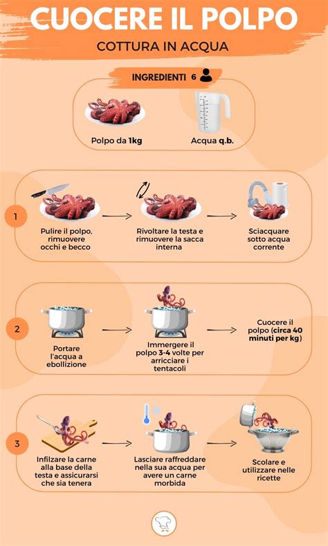Schema riassuntivo dei passaggi per la cottura del polpo per renderlo morbidissimo