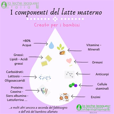Grafico che illustra il passaggio della piperina dal cibo materno al latte materno e la sua concentrazione percepibile dal neonato.
